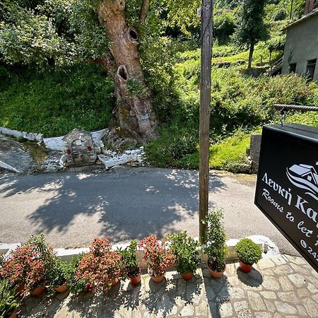 Hotel Λευκή Καμέλια à Anilio Pelion Extérieur photo