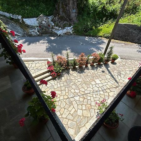 Hotel Λευκή Καμέλια à Anilio Pelion Extérieur photo