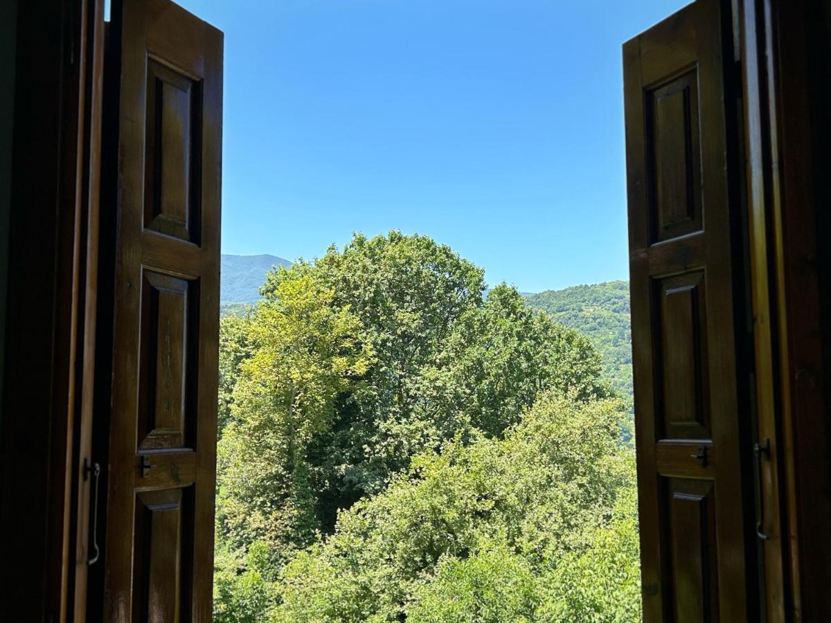 Hotel Λευκή Καμέλια à Anilio Pelion Extérieur photo