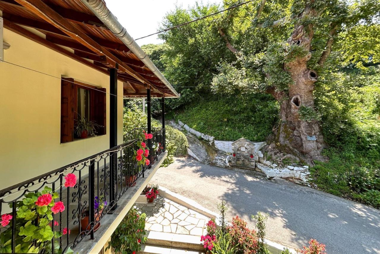 Hotel Λευκή Καμέλια à Anilio Pelion Extérieur photo