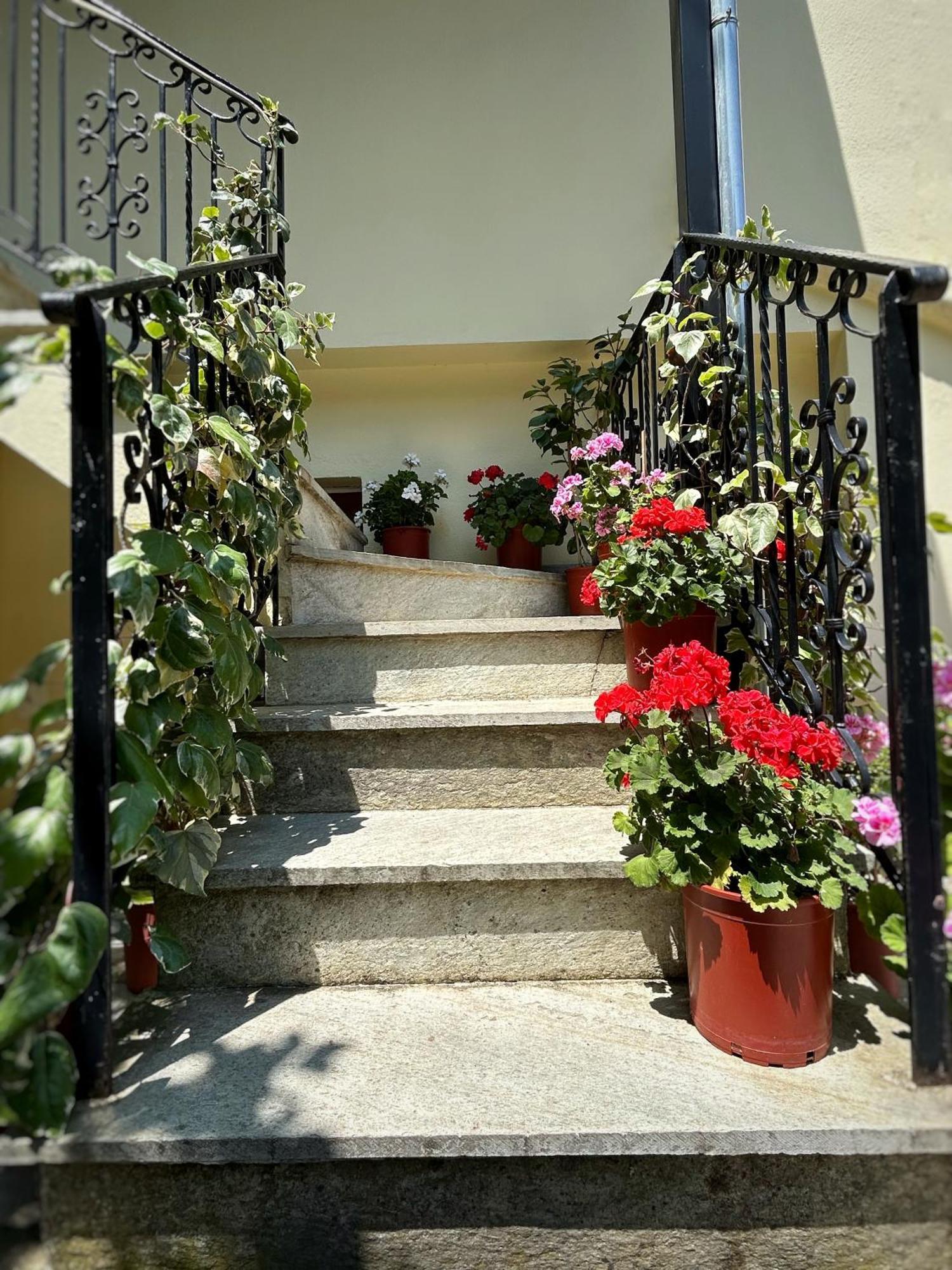 Hotel Λευκή Καμέλια à Anilio Pelion Extérieur photo