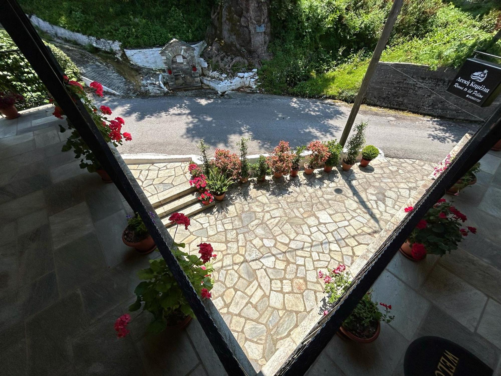 Hotel Λευκή Καμέλια à Anilio Pelion Extérieur photo