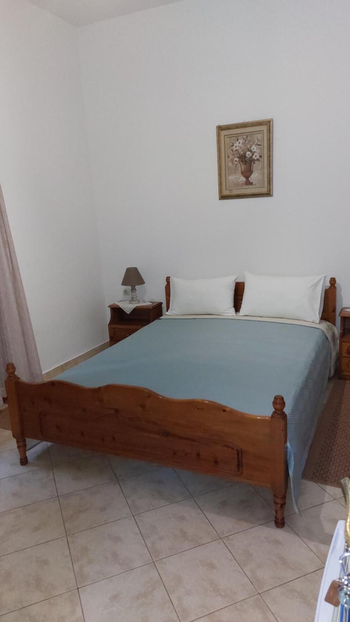 Hotel Λευκή Καμέλια à Anilio Pelion Extérieur photo