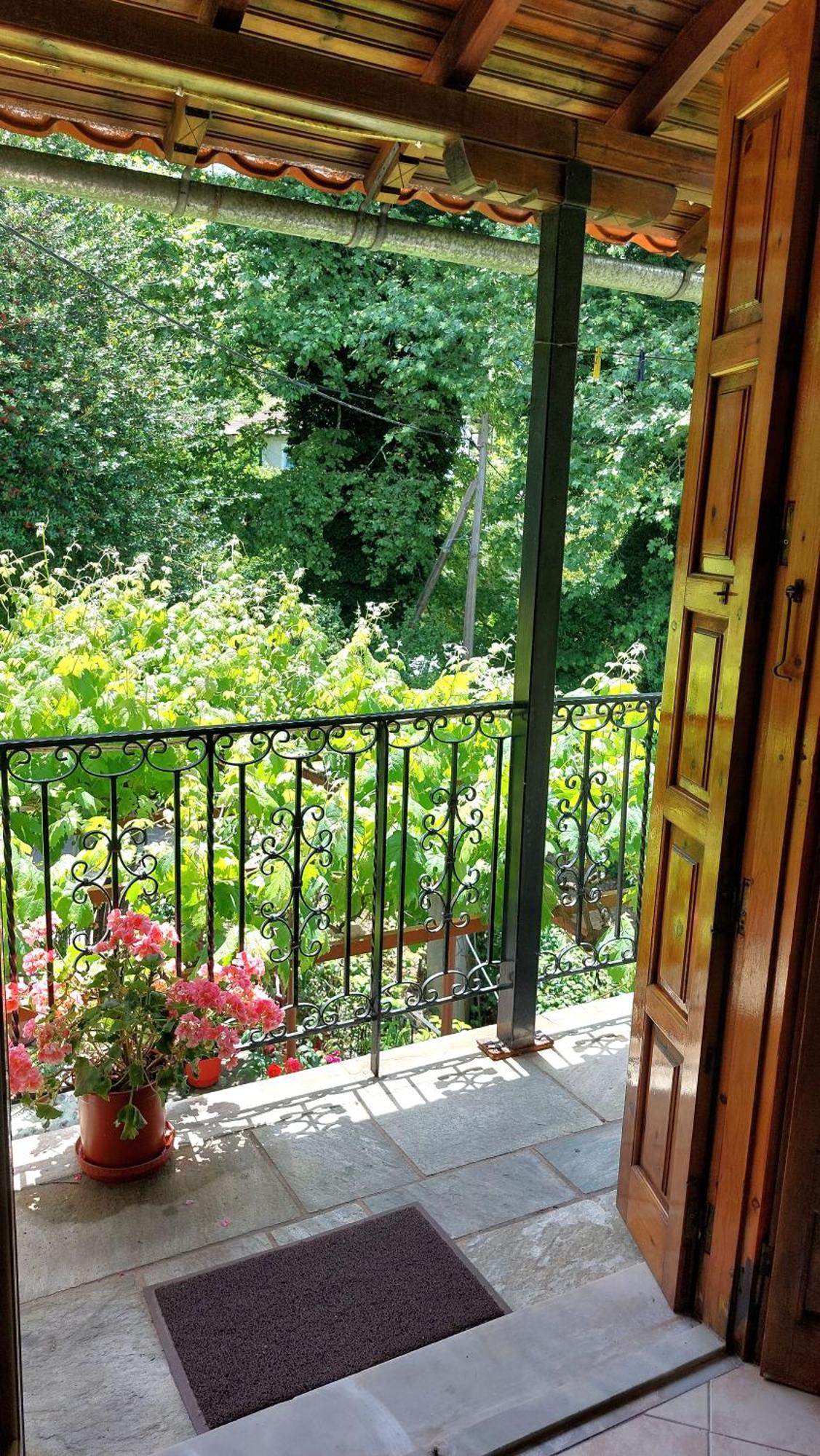 Hotel Λευκή Καμέλια à Anilio Pelion Extérieur photo